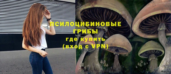 ПСИЛОЦИБИНОВЫЕ ГРИБЫ Абинск