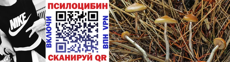 Галлюциногенные грибы мухоморы Княгинино