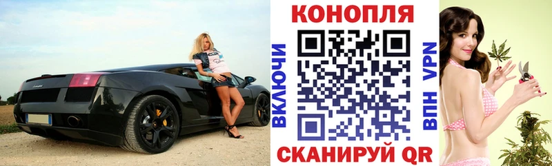 Каннабис Bruce Banner Княгинино